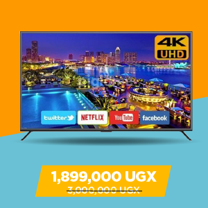 Sky 65' TV