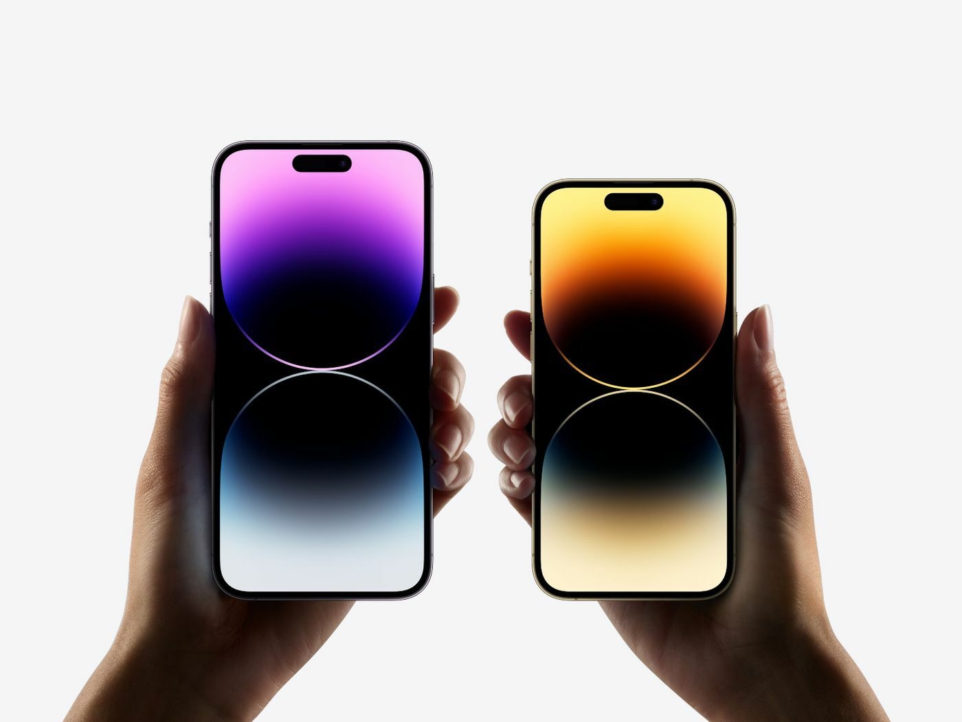 https://ug.jumia.is/cms/external/pet/AP044MP12PUQDNAFAMZ/345bf4337324014c40d11ea9d63b4a68.jpg