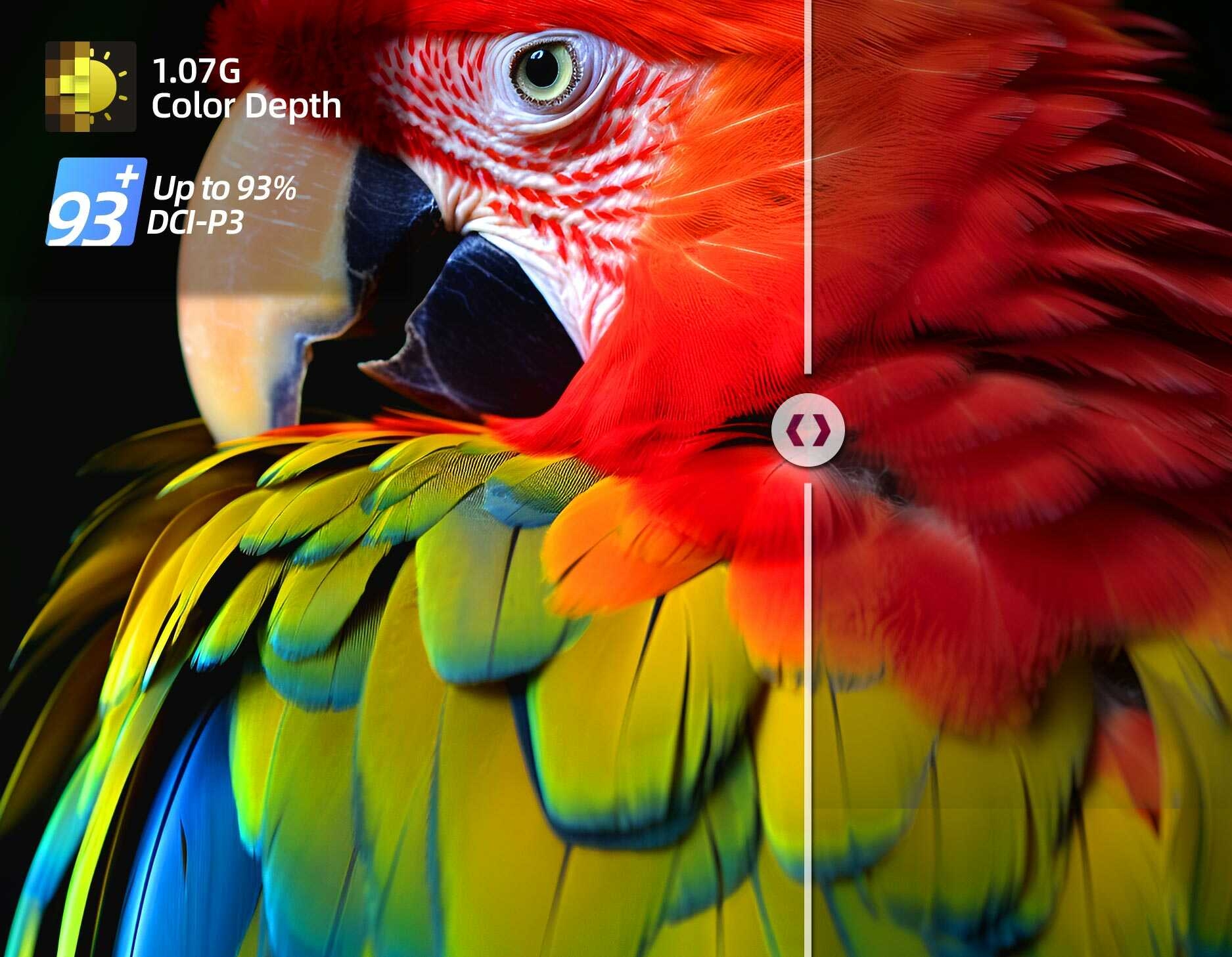 3 Vivid visuals, Lifelike colours-U65QM10.jpg__PID:89d2ed82-7e28-46d5-ab9c-1c56c33a14d9