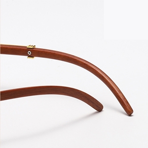 Retro Designer sunglasses