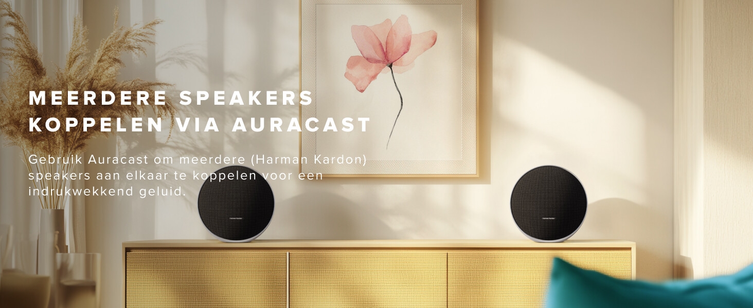Harman Kardon Onyx Studio 9_pt05
