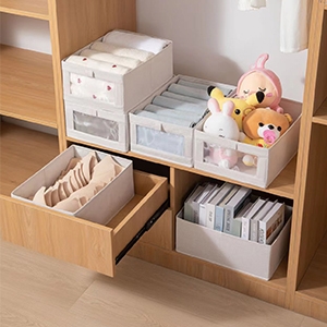 closet organizer and storage