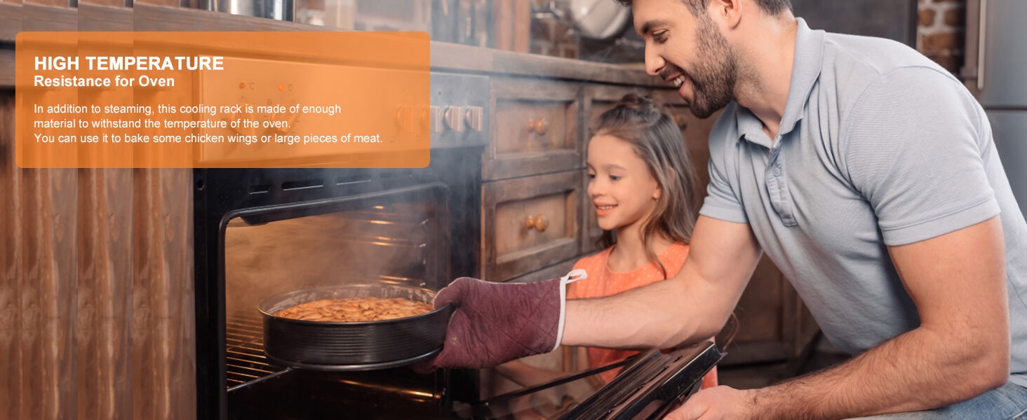 HIGH TEMPERATURE RESISTANCE FOR OVEN