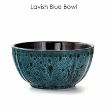 blue round stoneware dinnerware dish set setting for 4 microwave dishwasher safe