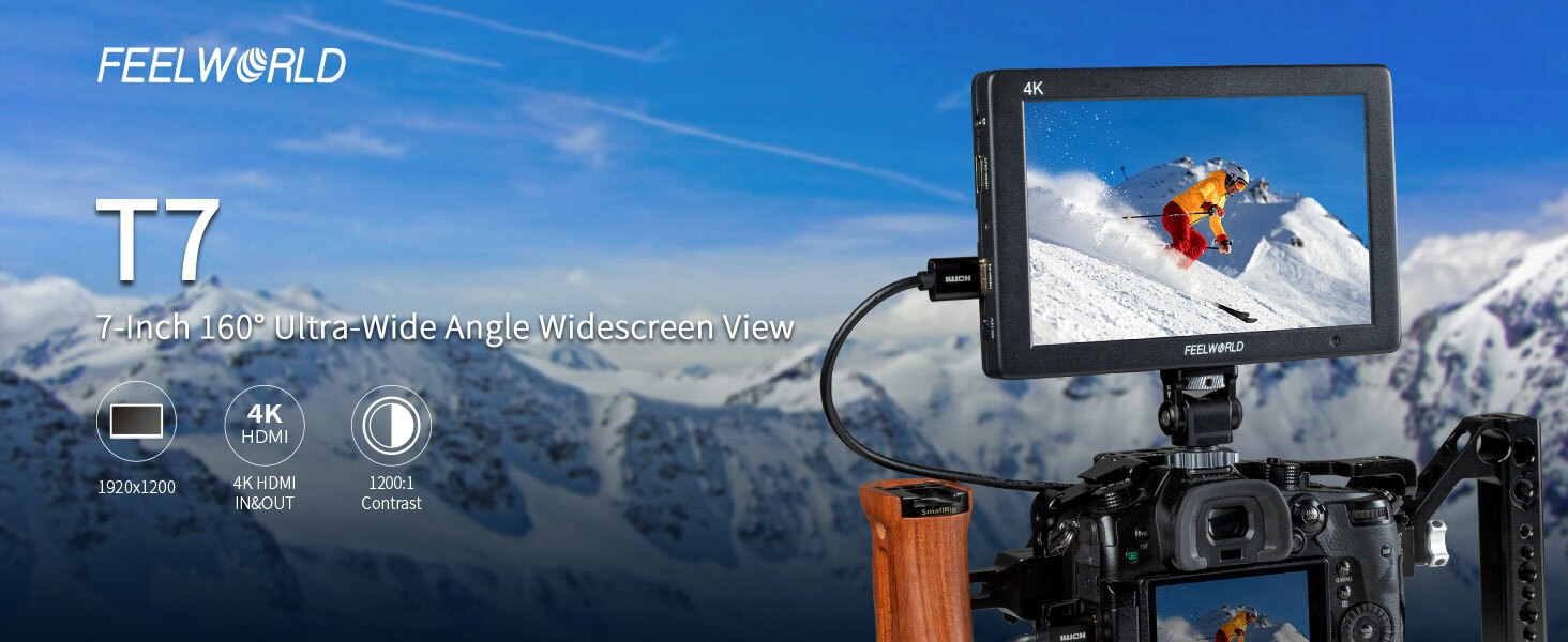 camera monitor