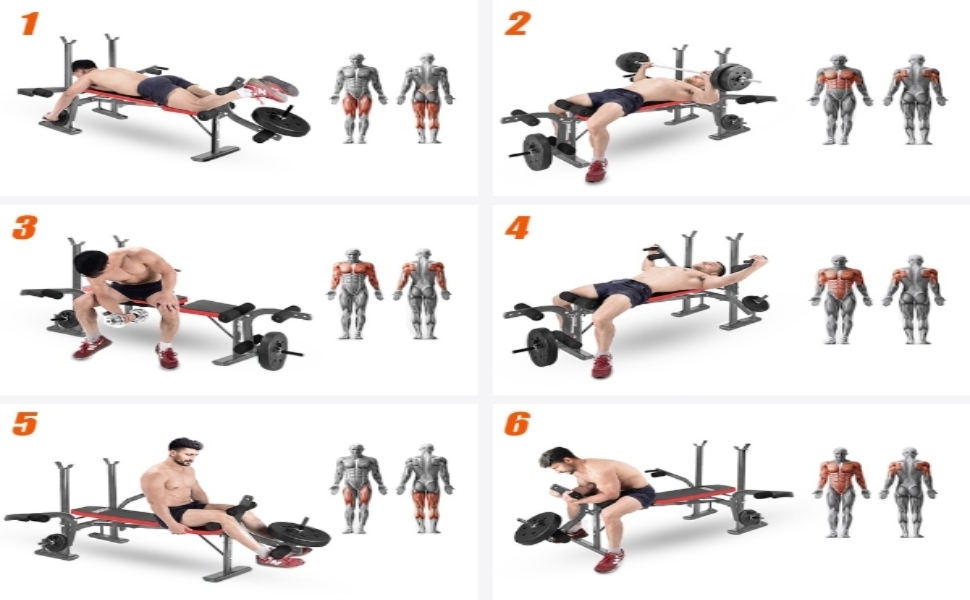 Weight Bench