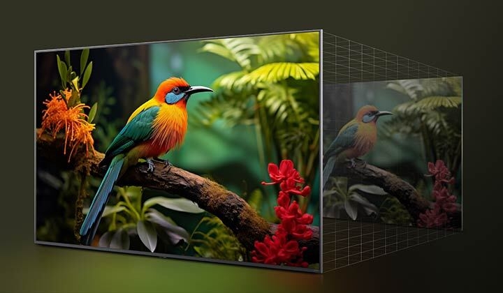 Before and after comparison of how LG 4K Super Upscaling improves image quality. Two panels showing the same image of a colorful bird sitting on a branch in a forest, panel on the right is faded out.