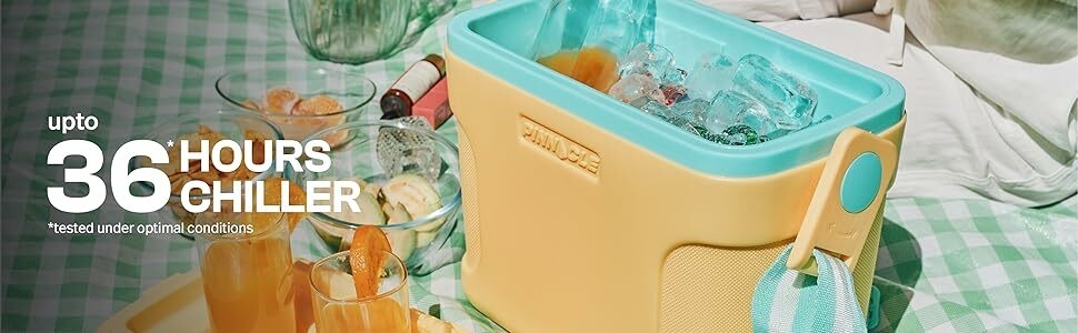 pinnacle passion new launch 8 ltr ice box mini cooler beer bottle parties camping bbq medical uses