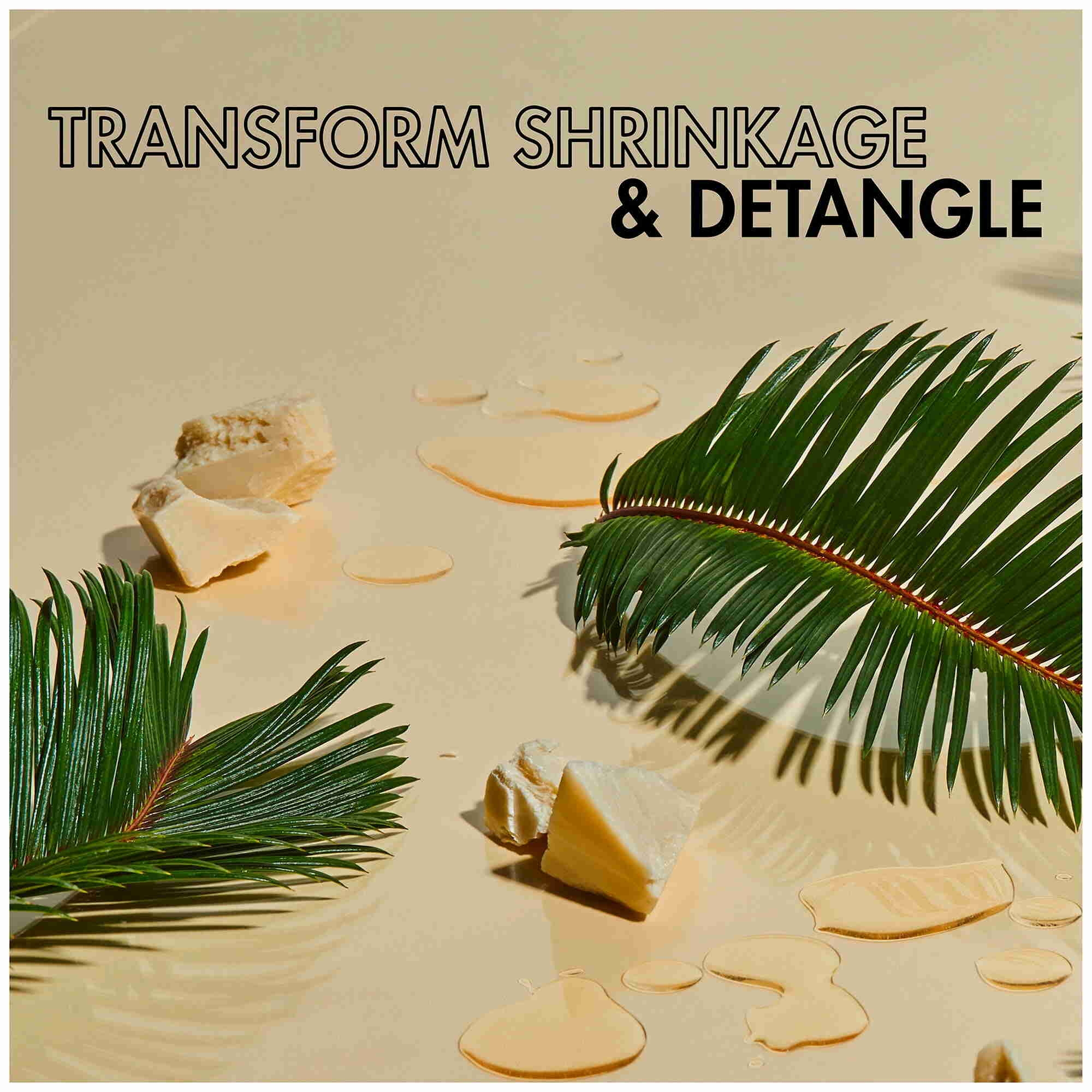 SheaMoisture Conditioner Red Palm Oil and Cocoa Butter for Curly Hair with Flaxseed Oil 13 oz