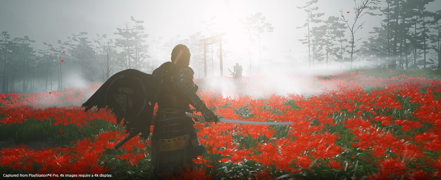 Ghost of Tsushima, PS4