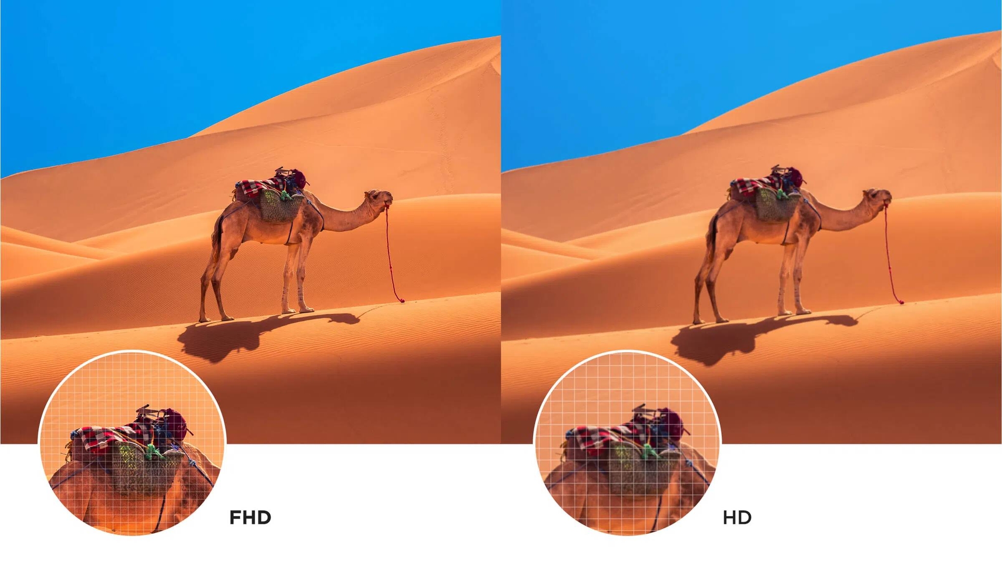 TCL S5K full high-definition screen