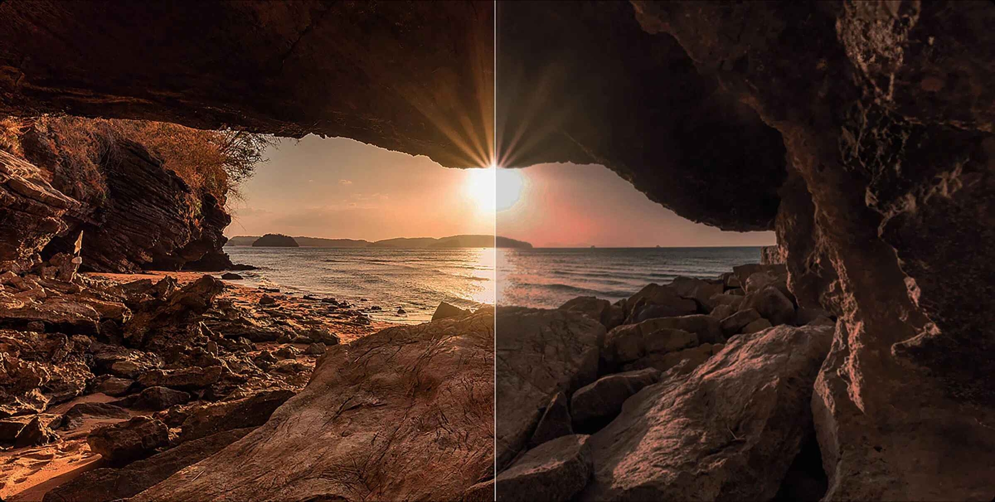 Dynamic Lighting Bionic Algorithm