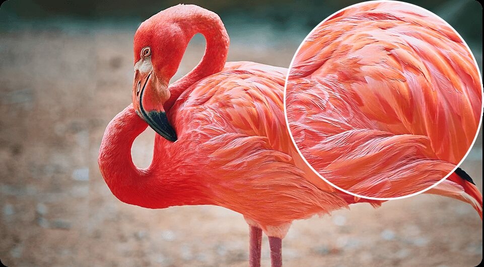 Extraordinary Photography