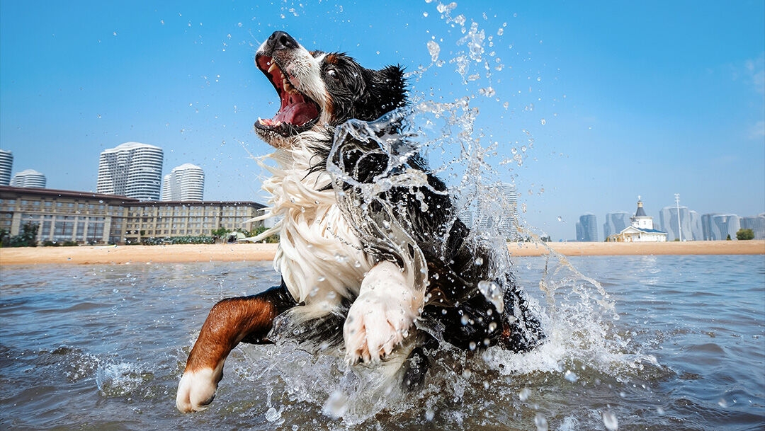 Lightning-fast Snapshot