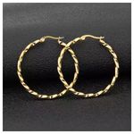 product_image_name-Generic-ORIGINAL Beautiful Hoop Dangle Earrings With A Clasp- Gold-1