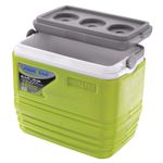 product_image_name-Pinnacle-Insulated Water Cooler Ice Chiller Box 10L,Lemon Green.-5