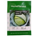 product_image_name-Generic-Delta F1 Cabbage Seeds-10gm-1