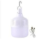 product_image_name-Original-Light 20W Portable Camping Lights USB Rechargeable LED Bulb Camping Lantern Outdoor Emergency Bulb Hanging Tent Light-1