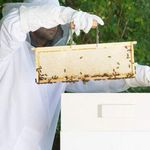 product_image_name-Generic-Full Body Beekeeping Suit Ventilated Hood Beekeeper Protective Suit 3 Sizes L-8