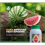 product_image_name-Bukoola-Kara Foliar Fertilizer-500ml-1