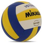 Indoor Training Volleyball