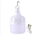 Light 20W Portable Camping Lights USB Rechargeable LED Bulb Camping Lantern Outdoor Emergency Bulb Hanging Tent Light