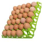 product_image_name-Generic-One(1) Original Strong Plastic Egg Trays In Various Colors - Blue, Yellow, Red, etc -2