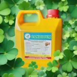 Candida Herbal Cleanse – 1 Litre Liquid Formula Natural Yeast & Fungal Support