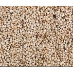 product_image_name-Generic-1Kg of Sesame Seeds-1