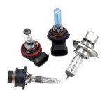 product_image_name-Generic-Blubs Nd Fuses - Multicolour-4