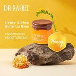 product_image_name-Dr. Rashel-Honey & Shea Butter Lip Balm-1