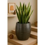 product_image_name-None-Premium Outdoor Decorative Pot – Brushed Grey Gloss-2