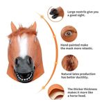 product_image_name-Generic-Rubber Full Face Mask.-2