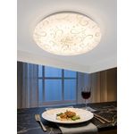 Electronics Ceiling light