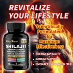 Himalayan Shilajit 