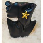 product_image_name-Generic-Earring-3