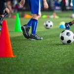 product_image_name-Generic-High-Visibility Multi-Purpose Sports & Agility Cones (47cm) -2