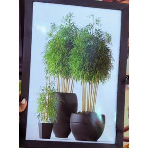 Original Veg Connection Sketch Minimalist Framed Wall Art