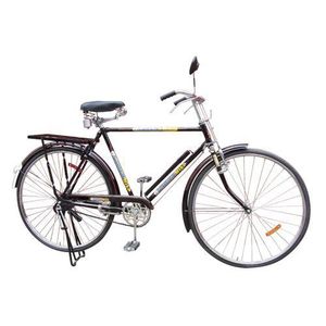 roadmaster bicycle price