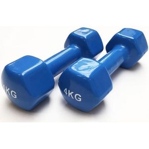 1 pair 4kg vinyl coated hex dumbells