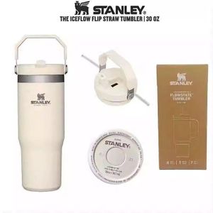 30oz Stainless Steel insulated Portable Cup-800mls -Multiple colors