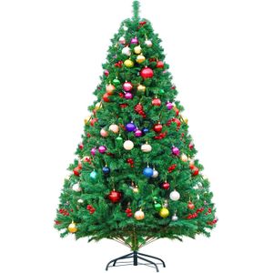 2024,  Christmas Tree, Green