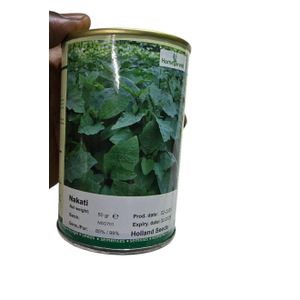 Nakati (Solanum aethiopicum) vegetable seeds 50g