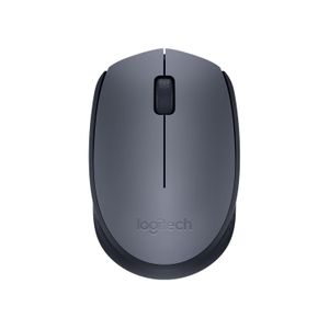 Logitech M170 Wireless Mouse, 2.4 GHz with USB Mini Receiver, Optical Tracking, 12-Months Battery Life, Ambidextrous PC/Mac/Laptop