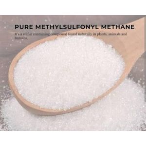 100g of MSM Powder