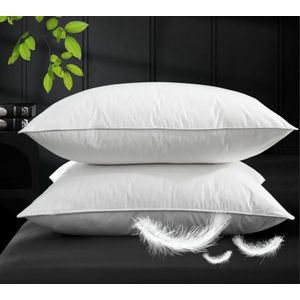 Soft Fiber Pillows - a Pair - white