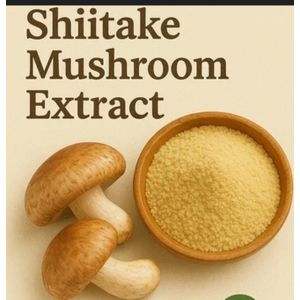 Shitaake Mushroom Powder 100g