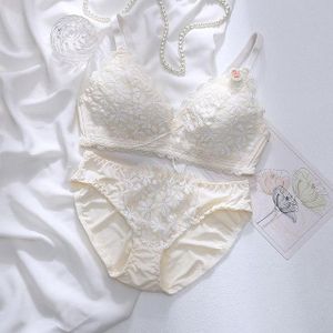 Lace Sexy Gather Push Up Showing Larger size 32/34/36/38A/B Bra