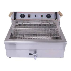 Deep Fryer Commercial for Fish 21L