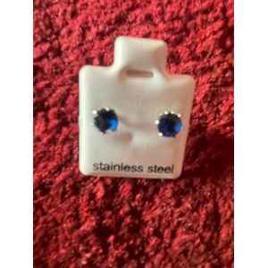 Large Blue Round Earpins